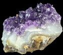 Sparkling Amethyst Crystal Cluster - Uruguay #43164-1